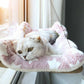 Pet Cat Hammock Hanging Cat Bed Aerial Cats Bed House Kitten Climbing Frame Sunny Window Seat Nest Bearing 20Kg Pet Accessories