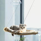 Pet Cat Hammock Hanging Cat Bed Aerial Cats Bed House Kitten Climbing Frame Sunny Window Seat Nest Bearing 20Kg Pet Accessories