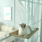 Pet Cat Hammock Hanging Cat Bed Aerial Cats Bed House Kitten Climbing Frame Sunny Window Seat Nest Bearing 20Kg Pet Accessories