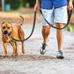 Cats Dogs Harness Collar Lead Strap Night Reflection Dog Pet Towing Rope 1.2/1.5/1.8M Guard Rope Pet Walking Training Leash