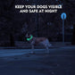 Led Dog Collar Luminous Usb Cat Dog Collar 3 Modes Led Light Glowing Loss Prevention LED Collar for Dogs Pet Dog Accessories