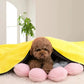 Quick-Drying Pet Dog and Cat Towels Soft Fiber Towels Water-Absorbent Bath Towel Convenient Pet Shop Cleaning Towel Pet Supplies