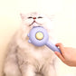 Pet Brush One Button Cleaning Brush Magic Beauty Cat Hair Brush Easy to Carry Re-Use Multi-Function Brush